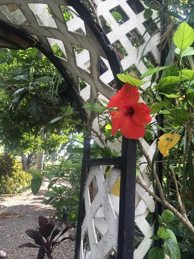 Sana El Jardin Secreto Hostel Santiago De Los Caballeros 0*,  Dominicaanse Republiek